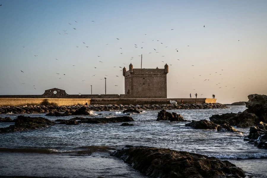 Discover Sahara: Morocco Essaouira Tour