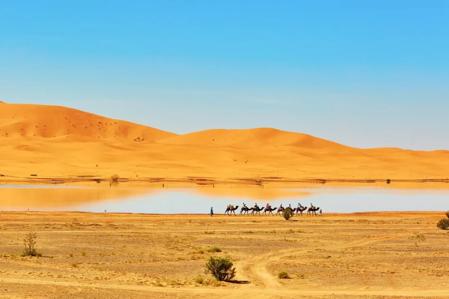 11-Day Morocco Trip; Popular Morocco Desert Tours